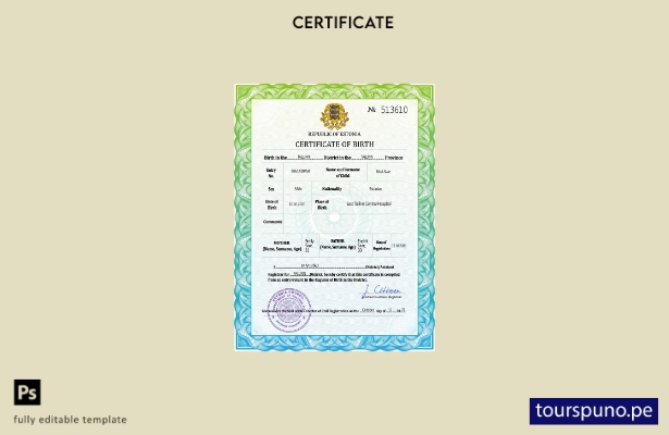 listo para imprimir plantilla PSD de certificado de nacimiento de registro ci 21